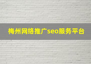 梅州网络推广seo服务平台