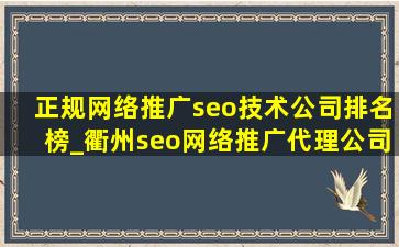 正规网络推广seo技术公司排名榜_衢州seo网络推广代理公司排名榜