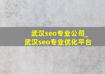 武汉seo专业公司_武汉seo专业优化平台