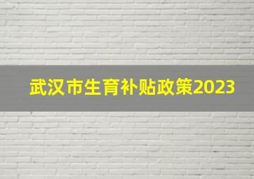 武汉市生育补贴政策2023