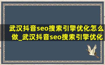武汉抖音seo搜索引擎优化怎么做_武汉抖音seo搜索引擎优化案例