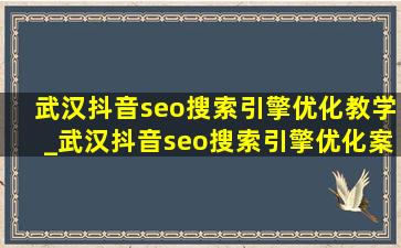 武汉抖音seo搜索引擎优化教学_武汉抖音seo搜索引擎优化案例