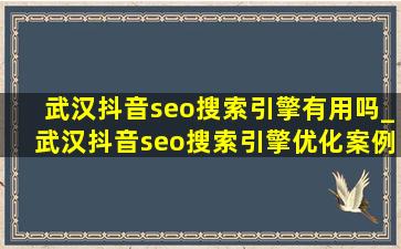 武汉抖音seo搜索引擎有用吗_武汉抖音seo搜索引擎优化案例