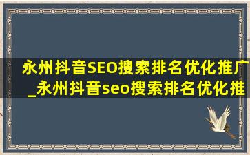 永州抖音SEO搜索排名优化推广_永州抖音seo搜索排名优化推广公司