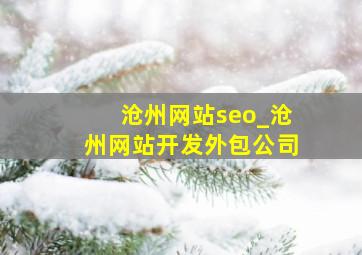 沧州网站seo_沧州网站开发外包公司