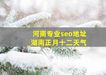 河南专业seo地址_湖南正月十二天气