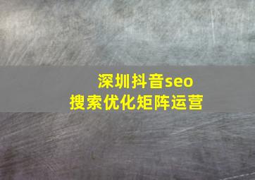 深圳抖音seo搜索优化矩阵运营