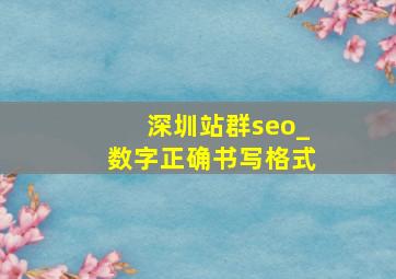 深圳站群seo_数字正确书写格式