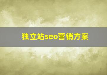 独立站seo营销方案