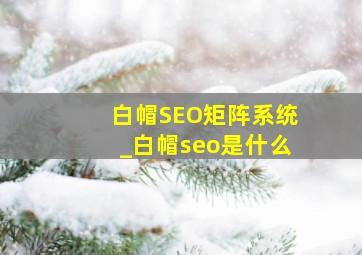 白帽SEO矩阵系统_白帽seo是什么