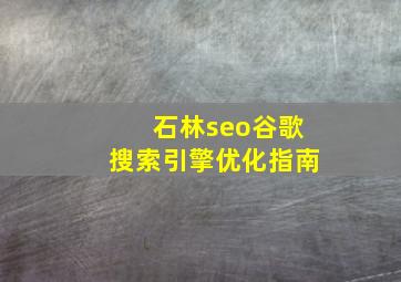石林seo谷歌搜索引擎优化指南