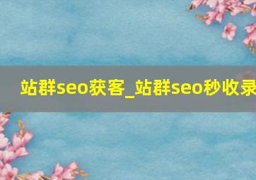 站群seo获客_站群seo秒收录