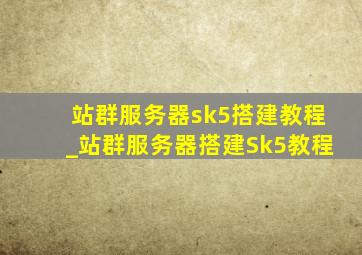站群服务器sk5搭建教程_站群服务器搭建Sk5教程