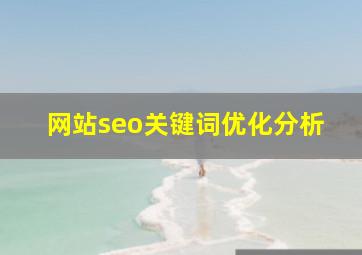 网站seo关键词优化分析