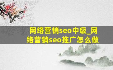 网络营销seo中级_网络营销seo推广怎么做