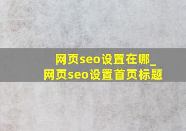 网页seo设置在哪_网页seo设置首页标题