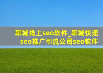 聊城线上seo软件_聊城(快速seo推广引流公司)seo软件