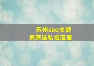苏州seo关键词筛选私域流量