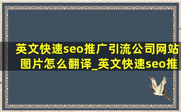 英文(快速seo推广引流公司)网站图片怎么翻译_英文(快速seo推广引流公司)怎么变成中文