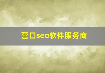 营口seo软件服务商
