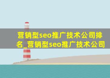 营销型seo推广技术公司排名_营销型seo推广技术公司