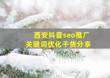 西安抖音seo推广关键词优化干货分享