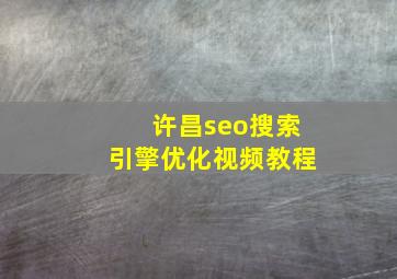 许昌seo搜索引擎优化视频教程