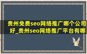 贵州免费seo网络推广哪个公司好_贵州seo网络推广平台有哪些公司