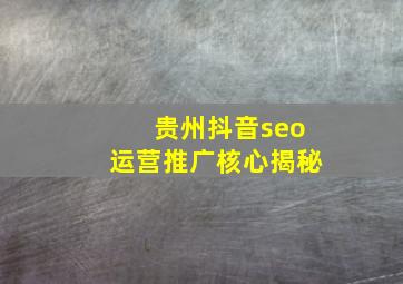 贵州抖音seo运营推广核心揭秘