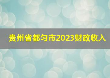 贵州省都匀市2023财政收入