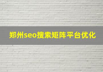 郑州seo搜索矩阵平台优化