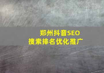 郑州抖音SEO搜索排名优化推广