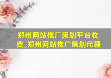 郑州网站推广策划平台收费_郑州网站推广策划代理