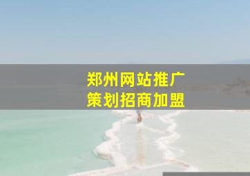 郑州网站推广策划招商加盟