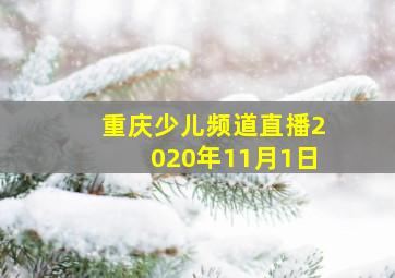 重庆少儿频道直播2020年11月1日