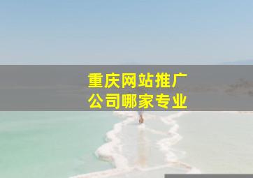 重庆网站推广公司哪家专业