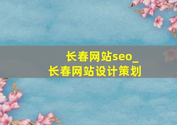 长春网站seo_长春网站设计策划