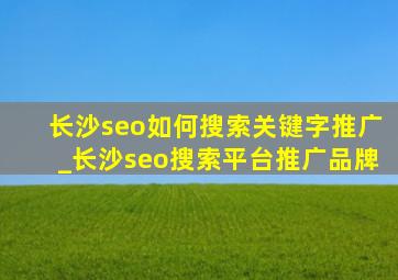 长沙seo如何搜索关键字推广_长沙seo搜索平台推广品牌