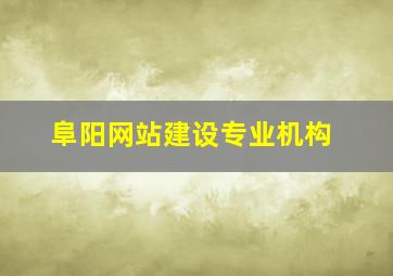 阜阳网站建设专业机构