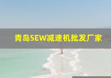 青岛SEW减速机批发厂家