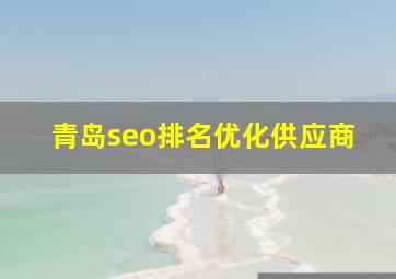 青岛seo排名优化供应商