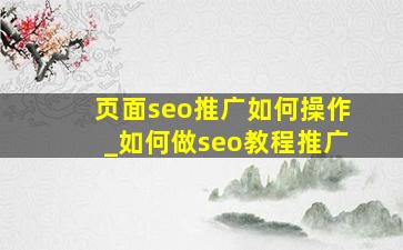 页面seo推广如何操作_如何做seo教程推广