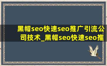黑帽seo(快速seo推广引流公司)技术_黑帽seo(快速seo推广引流公司)技术有什么影响