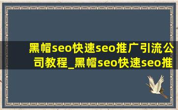 黑帽seo(快速seo推广引流公司)教程_黑帽seo(快速seo推广引流公司)技术
