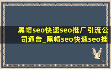 黑帽seo(快速seo推广引流公司)通告_黑帽seo(快速seo推广引流公司)技术